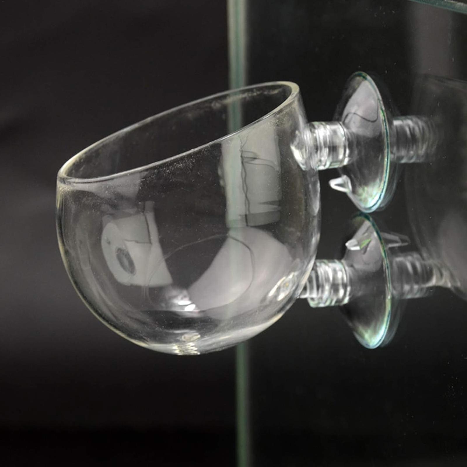 Aquarium Plant Holder Glass Aq - Badminton Live review and price