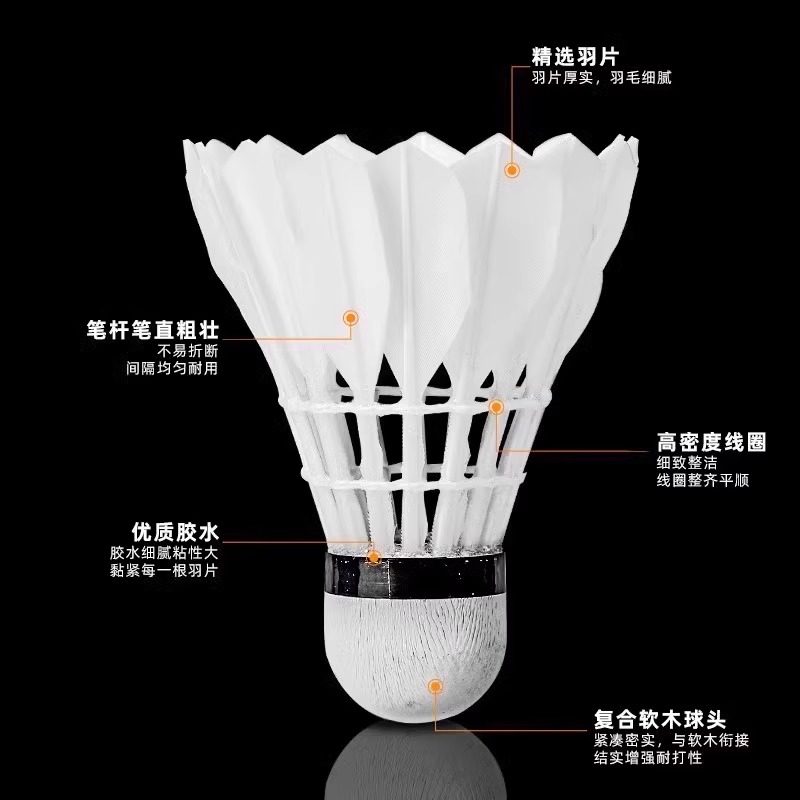 Lion Badminton Shuttlecock Goo - Badminton Bwf review and price