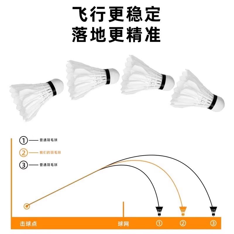 Lion Badminton Shuttlecock Goo - Badminton Bwf review and price