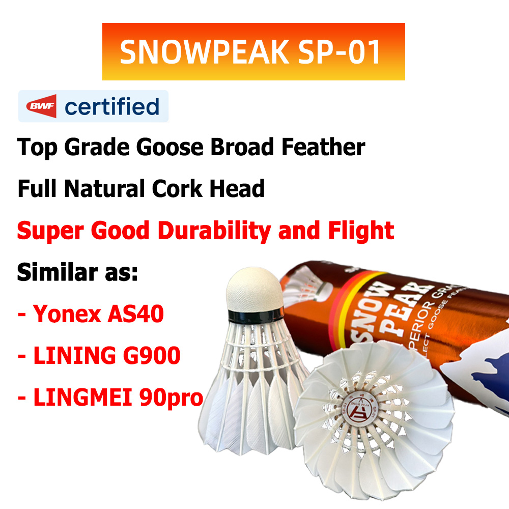 SP-01 Professional Tournament  - Badminton Bwf review and price
