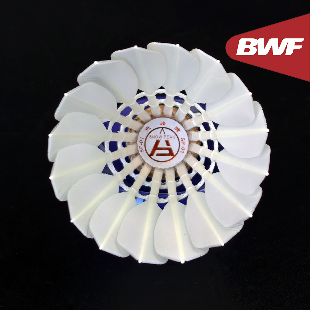 SP-01 Professional Tournament  - Badminton Bwf review and price