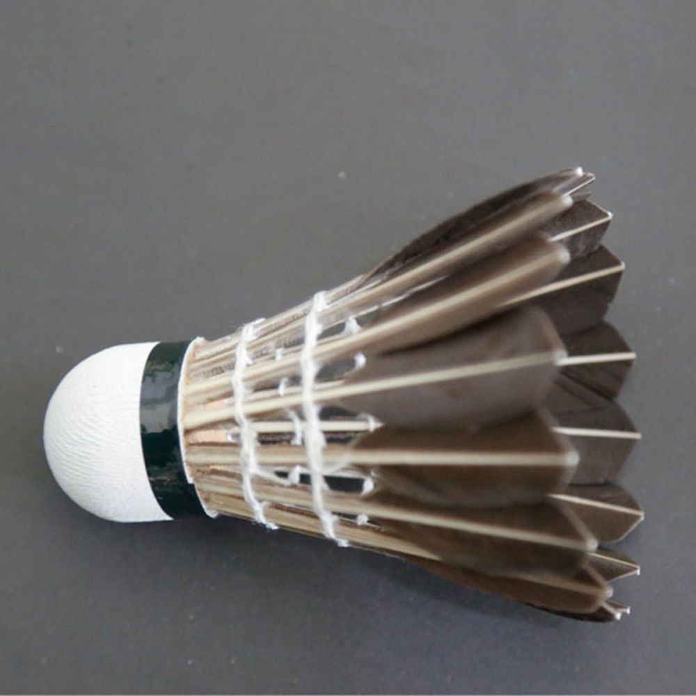 3/6/12Pcs Accessories Stable S - Badminton Bwf review and price