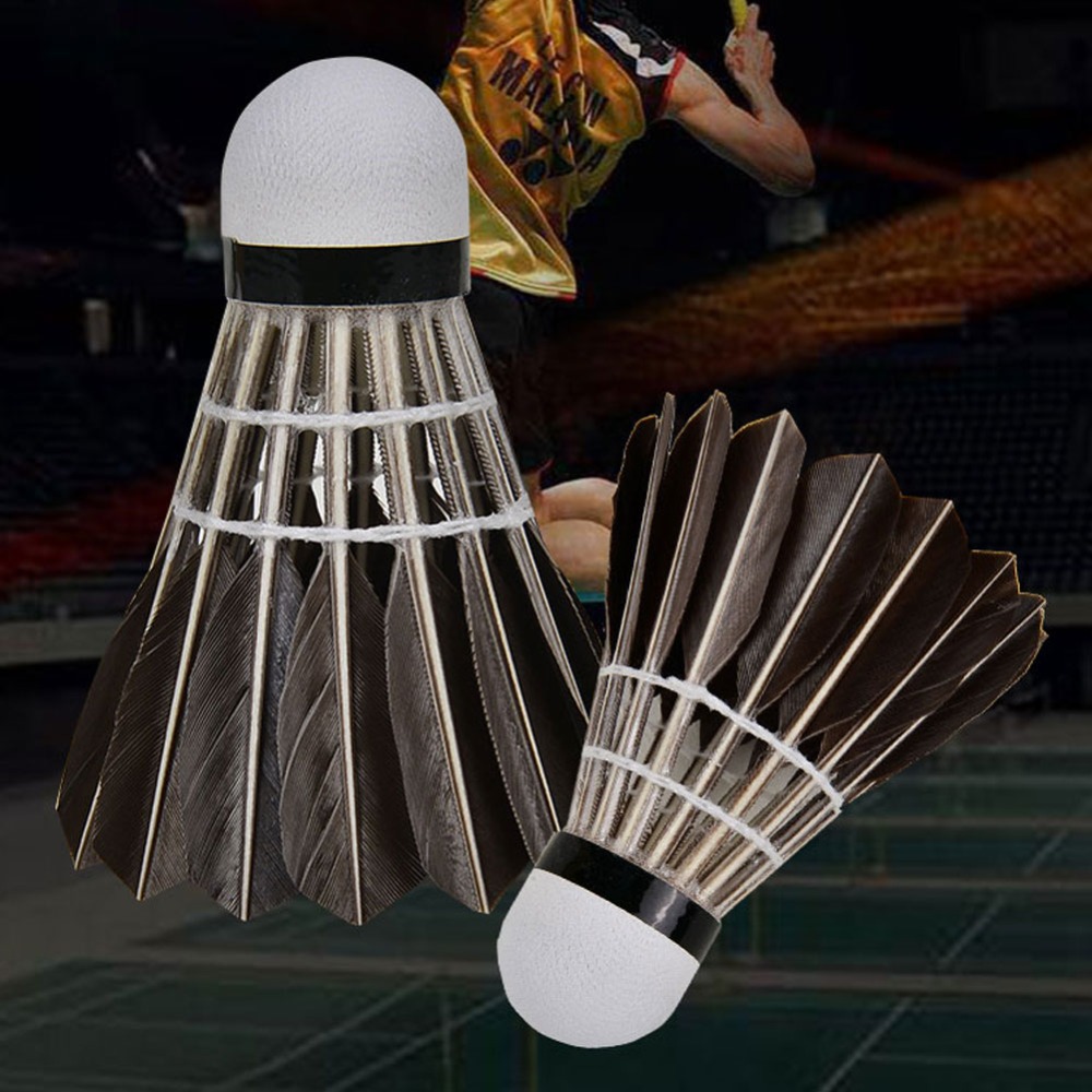3/6/12Pcs Accessories Stable S - Badminton Bwf review and price
